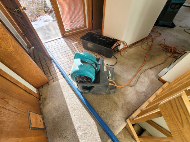 Best Carpet water damage restoration  in Abbeville, LA