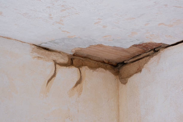 Best Residential water damage restoration  in Abbeville, LA