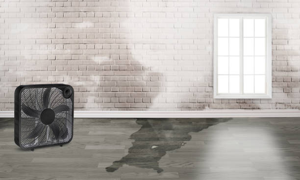 Best Commercial water damage restoration  in Abbeville, LA