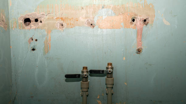 Best Water damage contractors near me  in Abbeville, LA