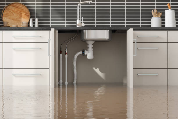 Best Fire Damage Restoration  in Abbeville, LA