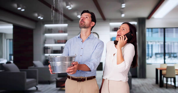 Best 24-hour water damage restoration  in Abbeville, LA