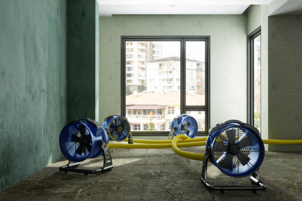 Best Ceiling water damage repair  in Abbeville, LA
