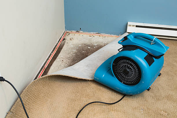 Best Flooded house restoration  in Abbeville, LA